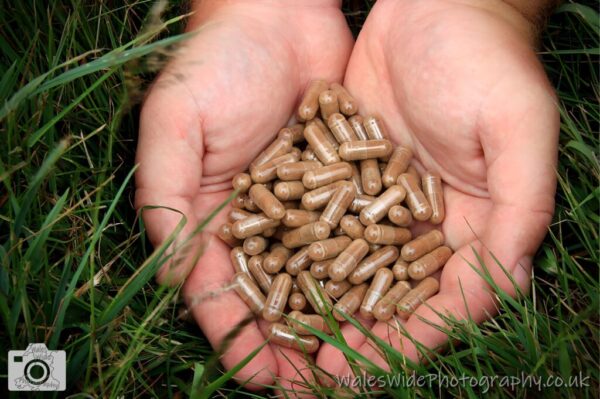 Jamie's Capsules in hand 001